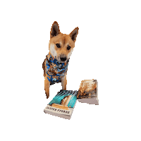 Shiba Inu Sticker by Geekster Pets