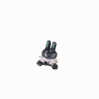 Bunny Win GIF