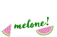 Melone Sticker by Schecker
