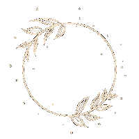 mehiyeya flower nice day flowers Sticker