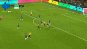 Wolves Wolverhampton GIF by MolaTV