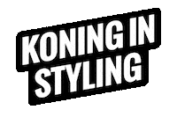 Skills Heroes Sticker by Koning Willem I College