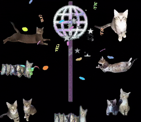 Happy New Year GIF