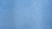 star wars wtf GIF by O&O, Inc