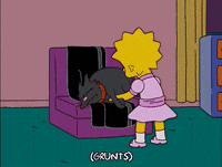lisa simpson cat GIF