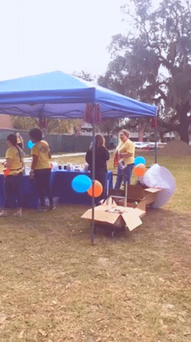 Two Bits Uf GIF by University of Florida College of Education
