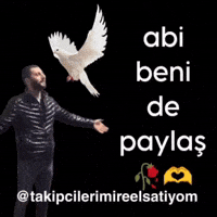 Ben Abi GIF