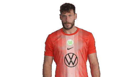 Check This Out Germany Sticker by VfL Wolfsburg