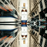 single malt alcohol GIF