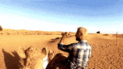 alessandromarras- dubai desert alessandro viaggi GIF