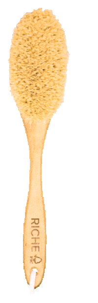 brush richescrub Sticker by Riche