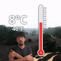 8 °C