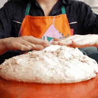 sourdoughdisco disco sourdough GIF