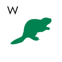 Animation Design Sticker by pipikwan pêhtâkwan