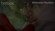 midsomer murders no GIF by britbox