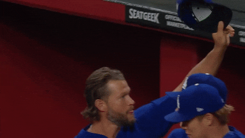 Los Angeles Dodgers Love GIF by MLB