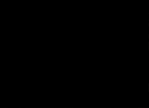 Bobby Petrino Penalty Flag GIF by Arkansas Razorbacks