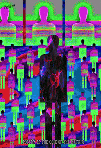 fox glitch GIF by PEEKASSO