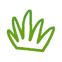 Smoke Weed Sticker