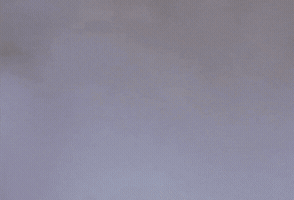 will smith GIF by 20th Century Fox Home Entertainment