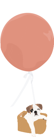figballoonco fig fig balloon co figballoonco figballoons Sticker