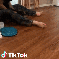 Cane GIF by TikTok Italia
