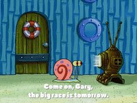 season 3 the great snail race GIF by SpongeBob SquarePants