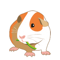 Rodent Guineapig Sticker by Little One