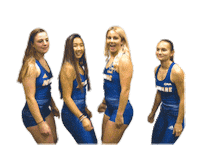College Sports Love Sticker by Delaware Blue Hens