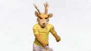 dance baile GIF by Venados FC