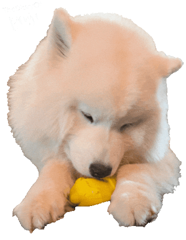 Ice Licking Sticker