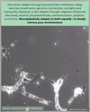 Essential Oils Health GIF by Jennifer Accomando