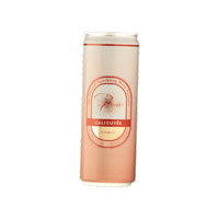 Sparklingwine Spritzer Sticker by Rava Wines