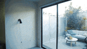 tyleroakley flower youtube house plant GIF