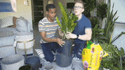 youtube house GIF by tyler oakley