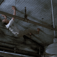 jeff goldblum GIF by foxhorror