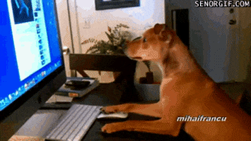 Dogs Computers GIF