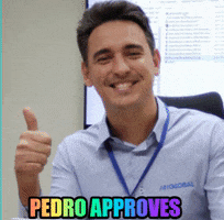 ain-global ainglobal pedroapproves GIF