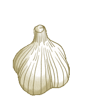 Garlic Sticker