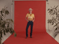 Hummingbird GIF by Mark Diamond