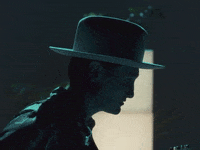 Hummingbird GIF by Mark Diamond