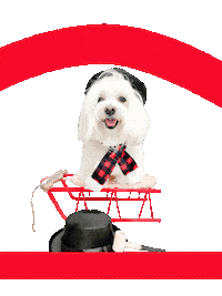 Merry Christmas Dog Sticker by HammyandBrody