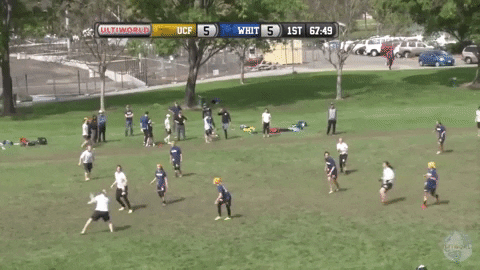 flikulti ultimate frisbee flik GIF