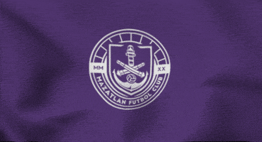 Bandera Mazatlan GIF by Mazatlán F.C.