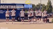 World Cup Argentina GIF