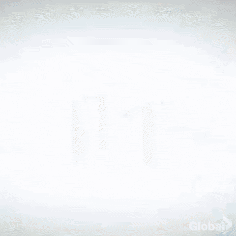 explore big brother canada GIF by Global TV