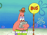 season 6 GIF by SpongeBob SquarePants