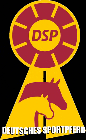DeutschesSportpferd giphygifmaker horses ags dsp GIF