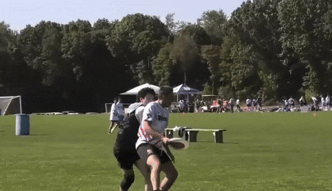 ultigifs giphyupload giphycreatortest undue GIF