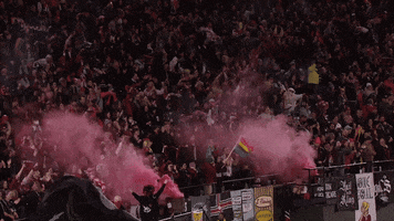 Womens Soccer Pride GIF by National Women's Soccer League